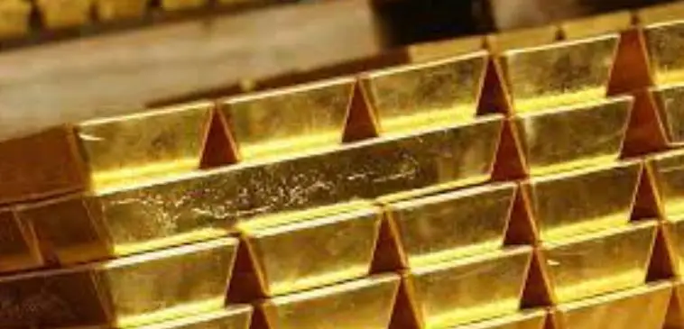 پیش بینی می شود که Magino در سال 2023 بین 72000 تا 81000 اونس طلا تولید کند و هزینه نقدی آن بین 850 تا 950 دلار در هر اونس باشد و با پیشبینی رشد بیشتر، پیشبینی میشود که Magino در سال 2024 تقریباً 148000 اونس با هزینه نقدی 868 دلار در هر اونس تولید کند.