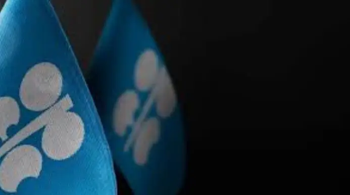 این سازمان در ایجاد تعادل بین قیمت بالای نفت با ثبات اقتصادی جهانی و رقابت تولیدکنندگان غیراوپک با چالش هایی مواجه است.