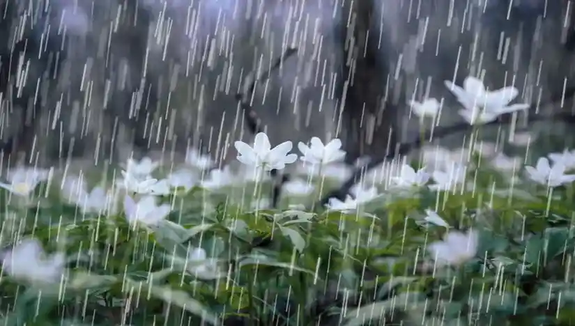  هزینه بارورسازی ابرها و آب ناشی از آن 