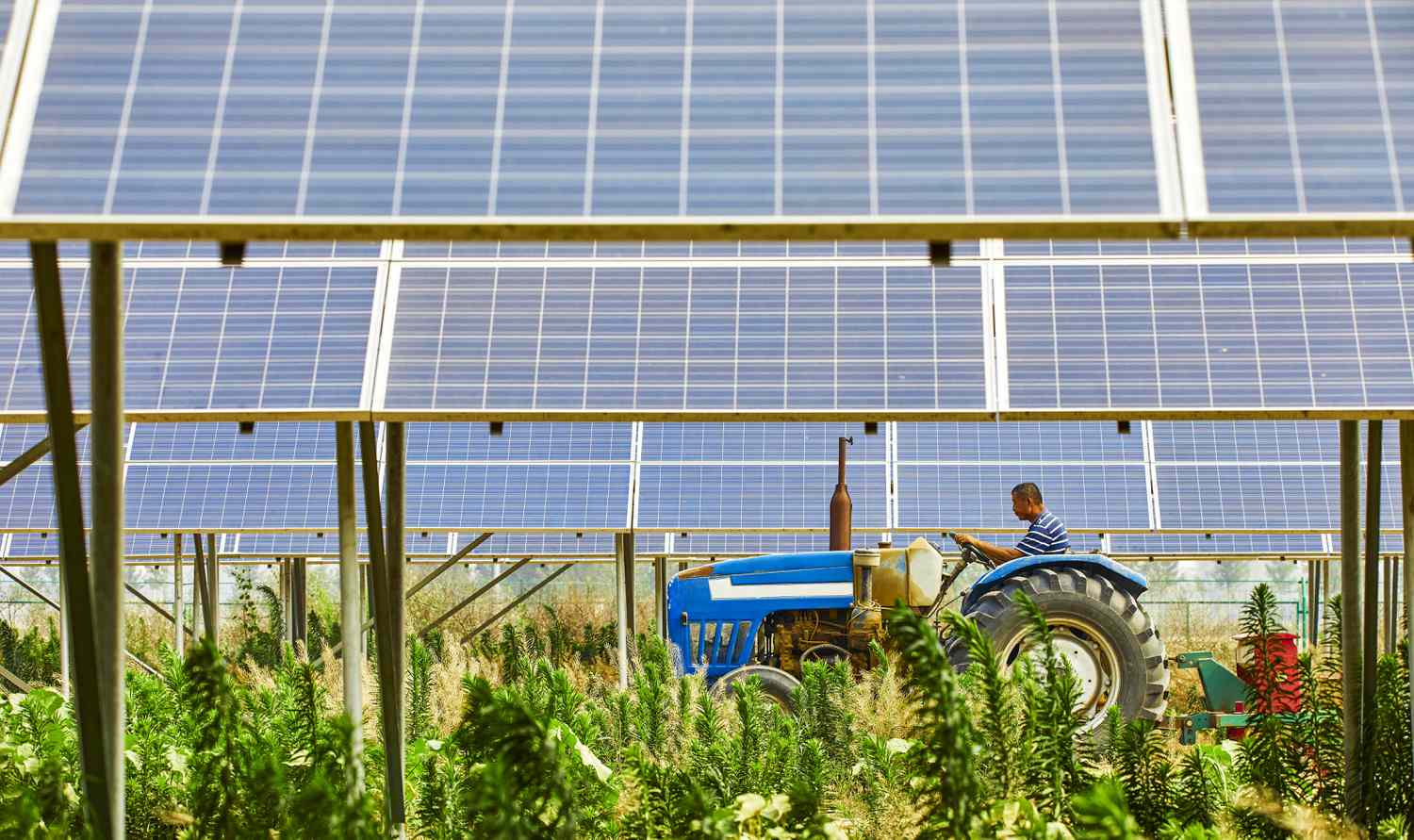 برق رسانی با انرژی خورشیدی خارج از شبکه و درآمد بیشتر بخش کشاورزی در آمریکا
